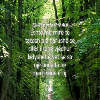 Picture 04 - Fjalët e urta 17:12 ALB - Éshtë më mirë të takosh një harushë se - Bible Verse Picture