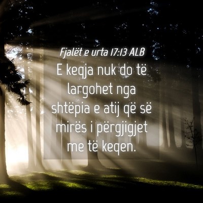 Picture 04 - Fjalët e urta 17:13 ALB - E keqja nuk do të largohet nga shtëpia e atij - Bible Verse Picture