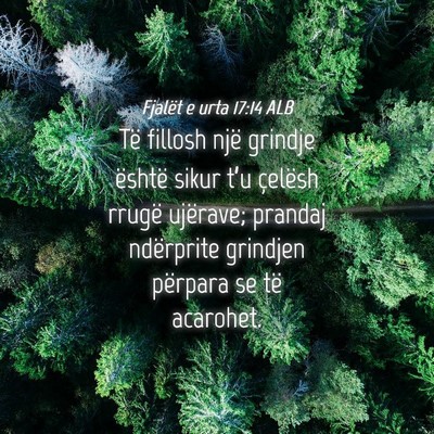 Picture 04 - Fjalët e urta 17:14 ALB - Të fillosh një grindje është sikur t’u - Bible Verse Picture