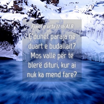 Picture 04 - Fjalët e urta 17:16 ALB - Ç’duhet paraja në duart e budallait? Mos - Bible Verse Picture