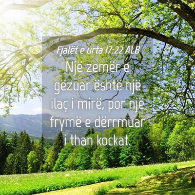 Picture 04 - Fjalët e urta 17:22 ALB - Një zemër e gëzuar është një ilaç i mirë, - Bible Verse Picture