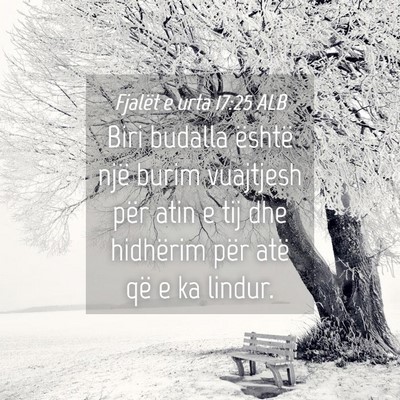 Picture 04 - Fjalët e urta 17:25 ALB - Biri budalla është një burim vuajtjesh për - Bible Verse Picture