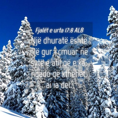 Picture 04 - Fjalët e urta 17:8 ALB - Një dhuratë është një gur i çmuar në sytë - Bible Verse Picture