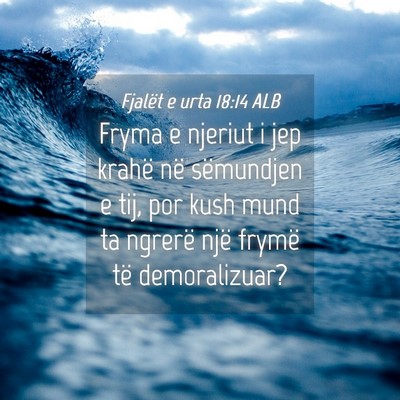 Picture 04 - Fjalët e urta 18:14 ALB - Fryma e njeriut i jep krahë në sëmundjen e - Bible Verse Picture