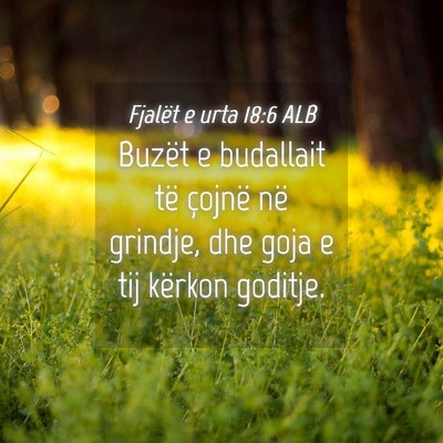 Picture 04 - Fjalët e urta 18:6 ALB - Buzët e budallait të çojnë në grindje, dhe - Bible Verse Picture