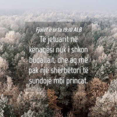 Picture 04 - Fjalët e urta 19:10 ALB - Të jetuarit në kënaqësi nuk i shkon - Bible Verse Picture