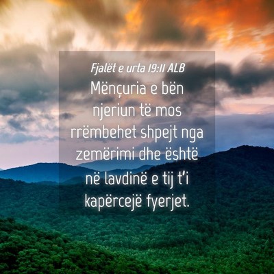 Picture 04 - Fjalët e urta 19:11 ALB - Mënçuria e bën njeriun të mos rrëmbehet - Bible Verse Picture