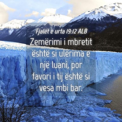 Picture 04 - Fjalët e urta 19:12 ALB - Zemërimi i mbretit është si ulërima e një - Bible Verse Picture