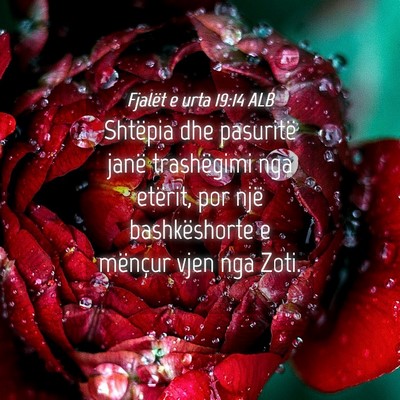 Picture 04 - Fjalët e urta 19:14 ALB - Shtëpia dhe pasuritë janë trashëgimi nga - Bible Verse Picture