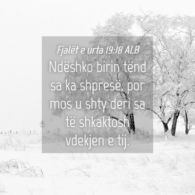 Picture 04 - Fjalët e urta 19:18 ALB - Ndëshko birin tënd sa ka shpresë, por mos u - Bible Verse Picture
