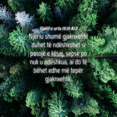 Picture 04 - Fjalët e urta 19:19 ALB - Njeriu shumë gjaknxehtë duhet të ndëshkohet - Bible Verse Picture