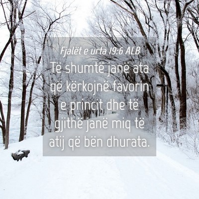 Picture 04 - Fjalët e urta 19:6 ALB - Të shumtë janë ata që kërkojnë favorin e - Bible Verse Picture
