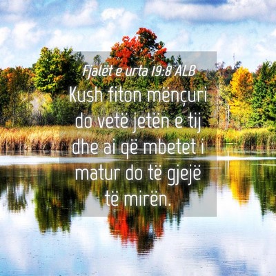 Picture 04 - Fjalët e urta 19:8 ALB - Kush fiton mënçuri do vetë jetën e tij dhe ai - Bible Verse Picture