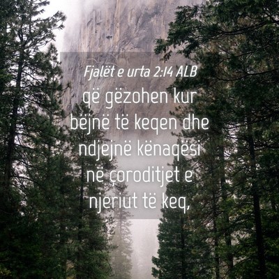 Picture 04 - Fjalët e urta 2:14 ALB - që gëzohen kur bëjnë të keqen dhe ndjejnë - Bible Verse Picture