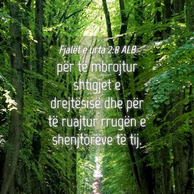Picture 04 - Fjalët e urta 2:8 ALB - për të mbrojtur shtigjet e drejtësisë dhe - Bible Verse Picture