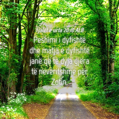 Picture 04 - Fjalët e urta 20:10 ALB - Peshimi i dyfishtë dhe matja e dyfishtë janë - Bible Verse Picture