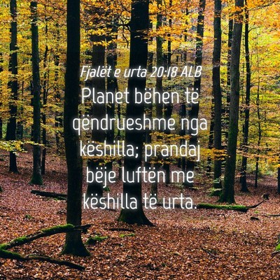 Picture 04 - Fjalët e urta 20:18 ALB - Planet bëhen të qëndrueshme nga këshilla; - Bible Verse Picture