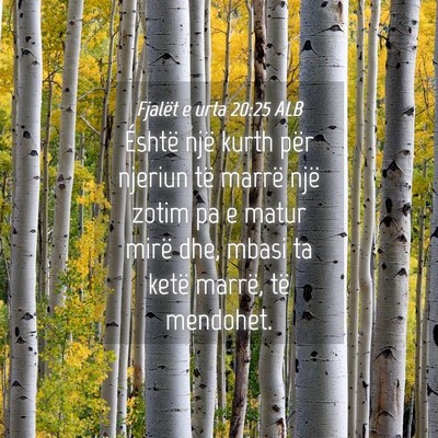 Picture 04 - Fjalët e urta 20:25 ALB - Éshtë një kurth për njeriun të marrë një - Bible Verse Picture