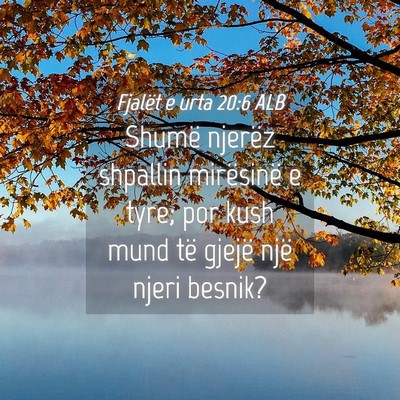 Picture 04 - Fjalët e urta 20:6 ALB - Shumë njerëz shpallin mirësinë e tyre; por - Bible Verse Picture
