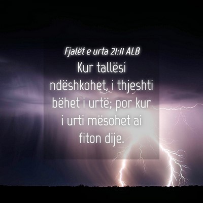Picture 04 - Fjalët e urta 21:11 ALB - Kur tallësi ndëshkohet, i thjeshti bëhet i - Bible Verse Picture