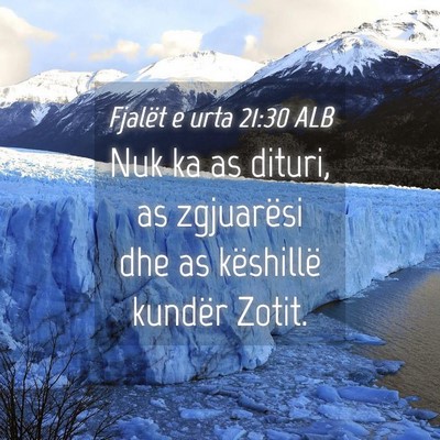 Picture 04 - Fjalët e urta 21:30 ALB - Nuk ka as dituri, as zgjuarësi dhe as këshillë - Bible Verse Picture