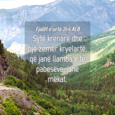 Picture 04 - Fjalët e urta 21:4 ALB - Sytë krenarë dhe një zemër kryelartë, që - Bible Verse Picture