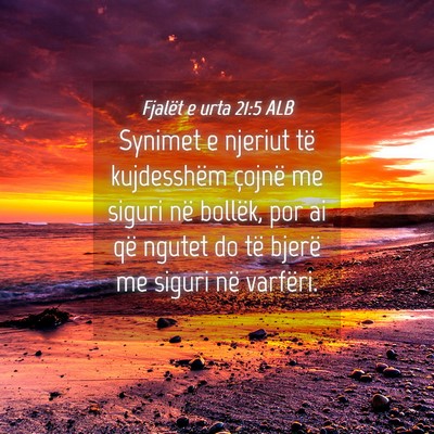 Picture 04 - Fjalët e urta 21:5 ALB - Synimet e njeriut të kujdesshëm çojnë me - Bible Verse Picture