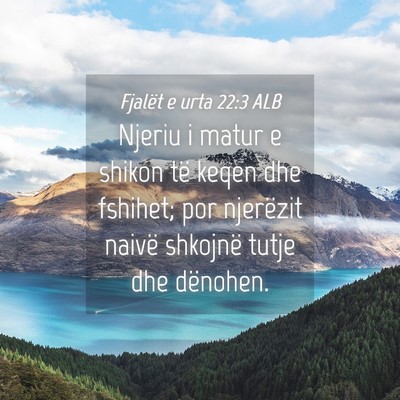 Picture 04 - Fjalët e urta 22:3 ALB - Njeriu i matur e shikon të keqen dhe fshihet; - Bible Verse Picture