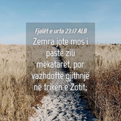 Picture 04 - Fjalët e urta 23:17 ALB - Zemra jote mos i pastë zili mëkatarët, por - Bible Verse Picture