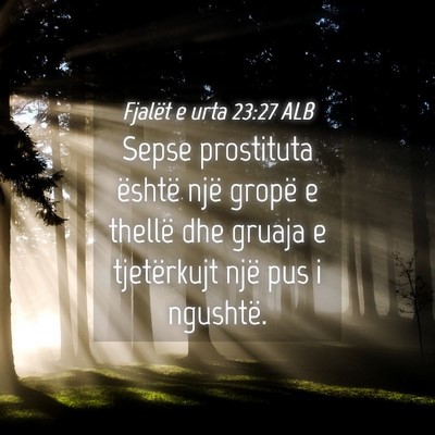 Picture 04 - Fjalët e urta 23:27 ALB - Sepse prostituta është një gropë e thellë - Bible Verse Picture