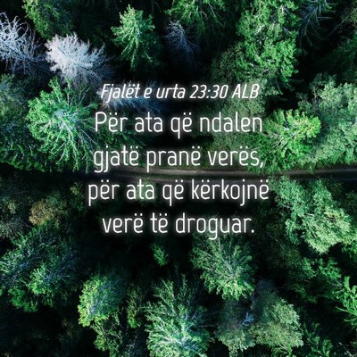 Picture 04 - Fjalët e urta 23:30 ALB - Për ata që ndalen gjatë pranë verës, për - Bible Verse Picture