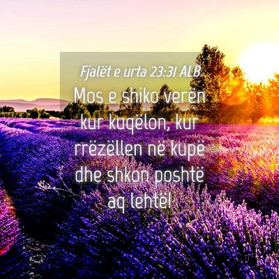 Picture 04 - Fjalët e urta 23:31 ALB - Mos e shiko verën kur kuqëlon, kur rrëzëllen - Bible Verse Picture