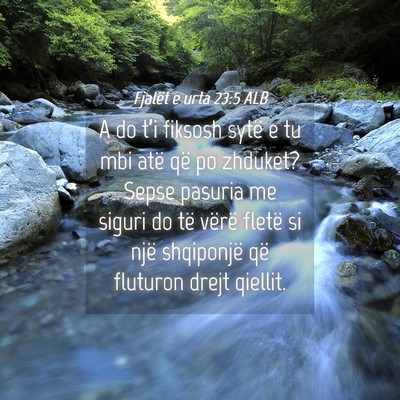 Picture 04 - Fjalët e urta 23:5 ALB - A do t’i fiksosh sytë e tu mbi atë që po - Bible Verse Picture