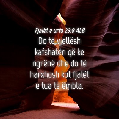 Picture 04 - Fjalët e urta 23:8 ALB - Do të vjellësh kafshatën që ke ngrënë dhe - Bible Verse Picture