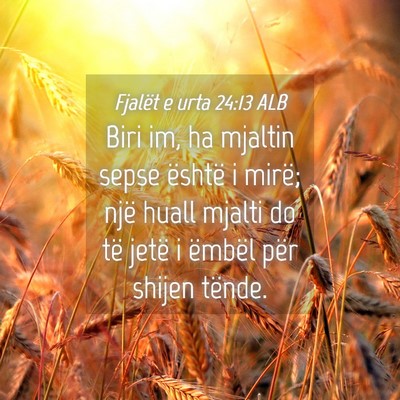 Picture 04 - Fjalët e urta 24:13 ALB - Biri im, ha mjaltin sepse është i mirë; një - Bible Verse Picture