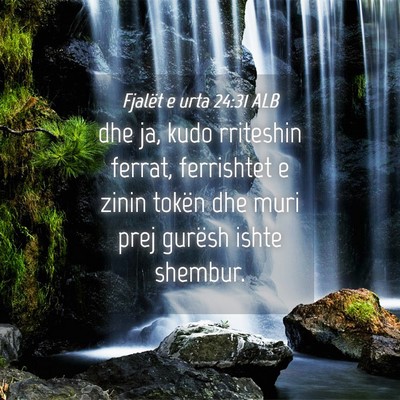 Picture 04 - Fjalët e urta 24:31 ALB - dhe ja, kudo rriteshin ferrat, ferrishtet e zinin - Bible Verse Picture