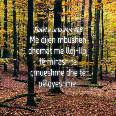 Picture 04 - Fjalët e urta 24:4 ALB - Me dijen mbushen dhomat me lloj-lloj të mirash - Bible Verse Picture