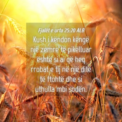 Picture 04 - Fjalët e urta 25:20 ALB - Kush i këndon këngë një zemre të pikëlluar - Bible Verse Picture