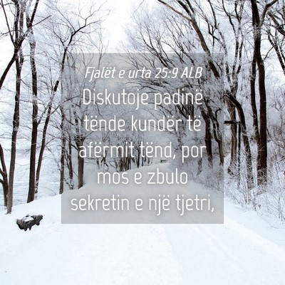 Picture 04 - Fjalët e urta 25:9 ALB - Diskutoje padinë tënde kundër të afërmit - Bible Verse Picture