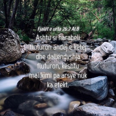 Picture 04 - Fjalët e urta 26:2 ALB - Ashtu si harabeli fluturon andej e këtej dhe - Bible Verse Picture