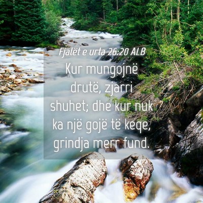 Picture 04 - Fjalët e urta 26:20 ALB - Kur mungojnë drutë, zjarri shuhet; dhe kur nuk - Bible Verse Picture