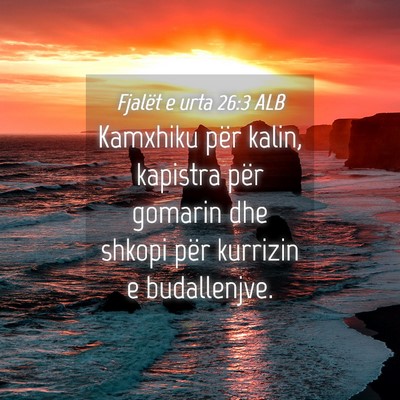Picture 04 - Fjalët e urta 26:3 ALB - Kamxhiku për kalin, kapistra për gomarin dhe - Bible Verse Picture