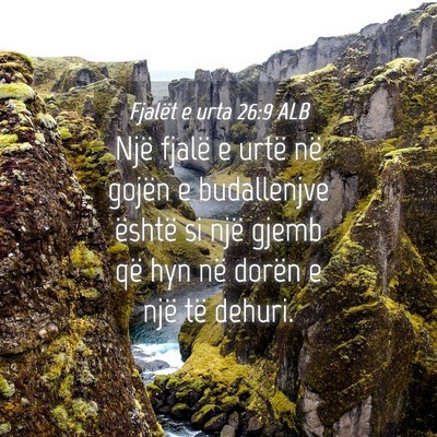 Picture 04 - Fjalët e urta 26:9 ALB - Një fjalë e urtë në gojën e budallenjve - Bible Verse Picture