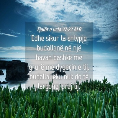 Picture 04 - Fjalët e urta 27:22 ALB - Edhe sikur ta shtypje budallanë në një havan - Bible Verse Picture