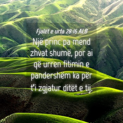 Picture 04 - Fjalët e urta 28:16 ALB - Një princ pa mend zhvat shumë, por ai që urren - Bible Verse Picture