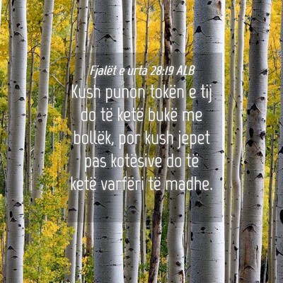 Picture 04 - Fjalët e urta 28:19 ALB - Kush punon tokën e tij do të ketë bukë me - Bible Verse Picture