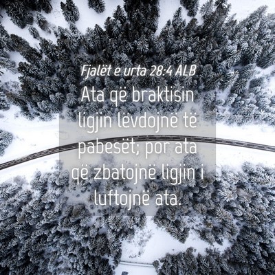 Picture 04 - Fjalët e urta 28:4 ALB - Ata që braktisin ligjin lëvdojnë të pabesët; - Bible Verse Picture