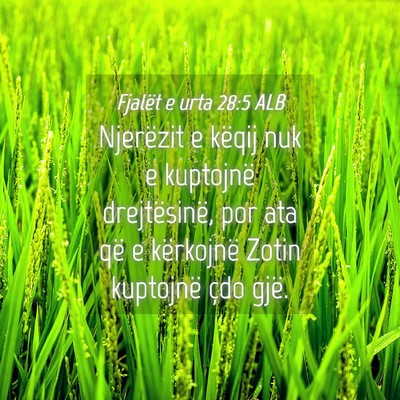Picture 04 - Fjalët e urta 28:5 ALB - Njerëzit e këqij nuk e kuptojnë drejtësinë, - Bible Verse Picture