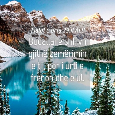 Picture 04 - Fjalët e urta 29:11 ALB - Budallai e shfryn gjithë zemërimin e tij, por i - Bible Verse Picture
