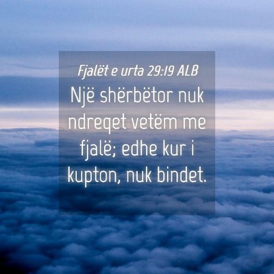 Picture 04 - Fjalët e urta 29:19 ALB - Një shërbëtor nuk ndreqet vetëm me fjalë; - Bible Verse Picture